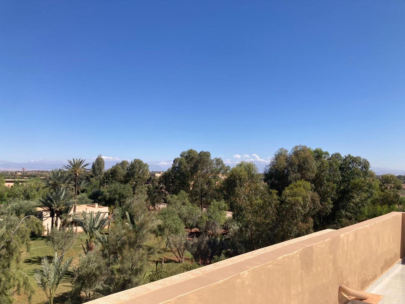 Family Palms Luxe Villa Marrakech With Private Pool Марракеш Номер фото